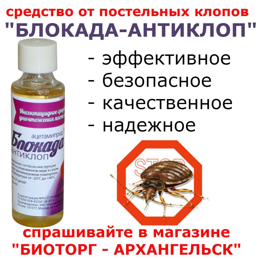 Самое эффективное средство от клопов: рейтинг мощных препаратов от вредных насекомых