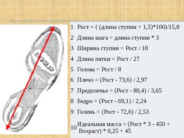 Как выбрать палки для скандинавский ходьбы?