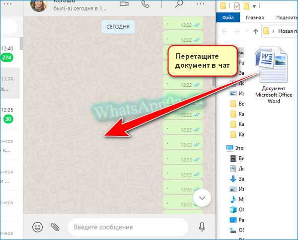 Whatsapp на компьютере - отправка текстовых сообщений, видео, картинок
