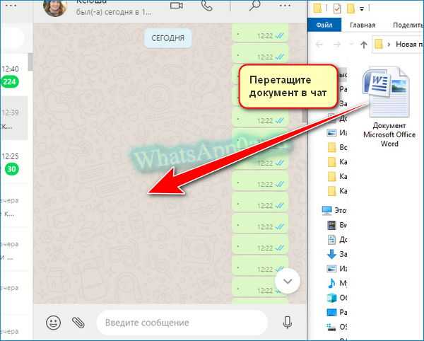 Whatsapp передать файл