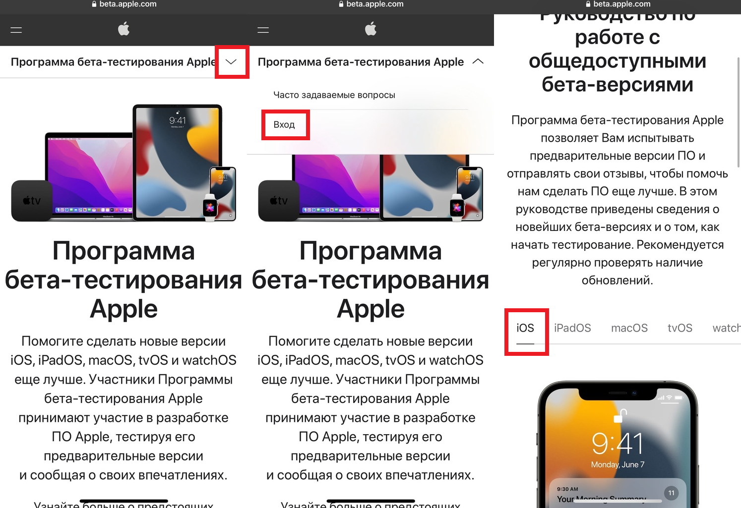 Как установить бета версию ios