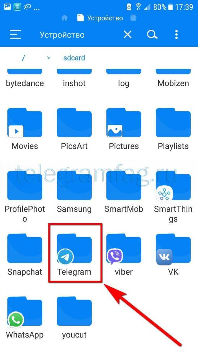 Куда сохраняются файлы с телеграмма на телефоне фото 1