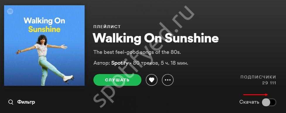 Спотифай настройка аккаунта. Spotify офлайн режим. Есть ли радио у spotify. Спотифай слушать офлайн. Оффлайн режим в спотифай.