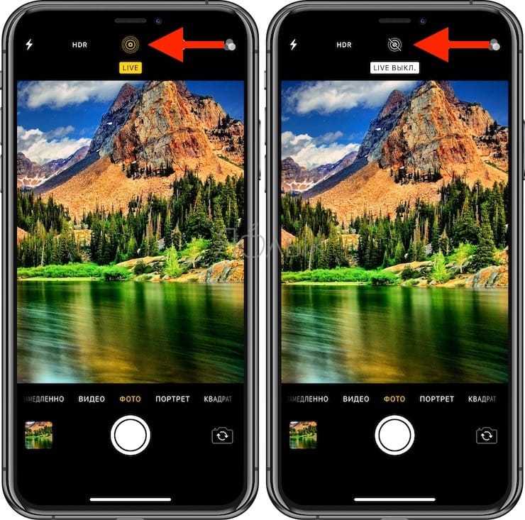 Ios 14: как отключить режим серийной съемки на iphone 12, 11 pro max, xr, x, 8,7 - wapk