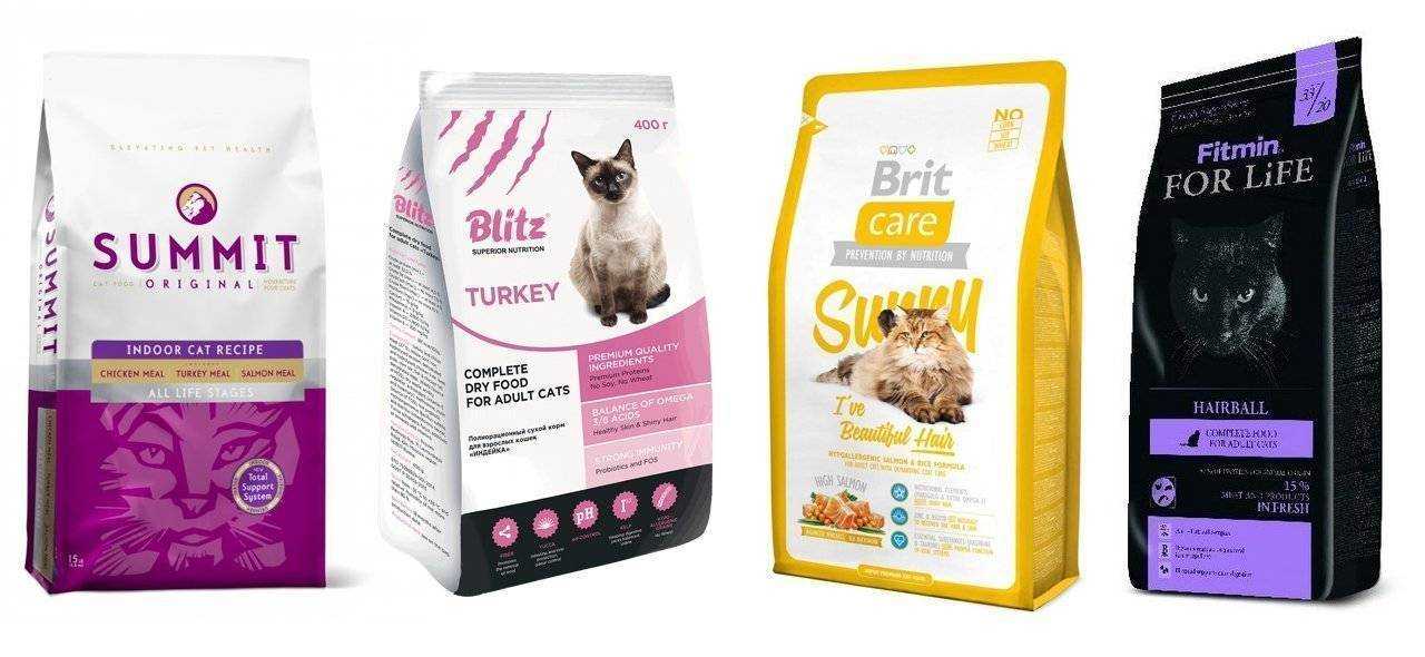 Какие корма для кошек рекомендуют ветеринары: бренды и торговые марки | ваши питомцы