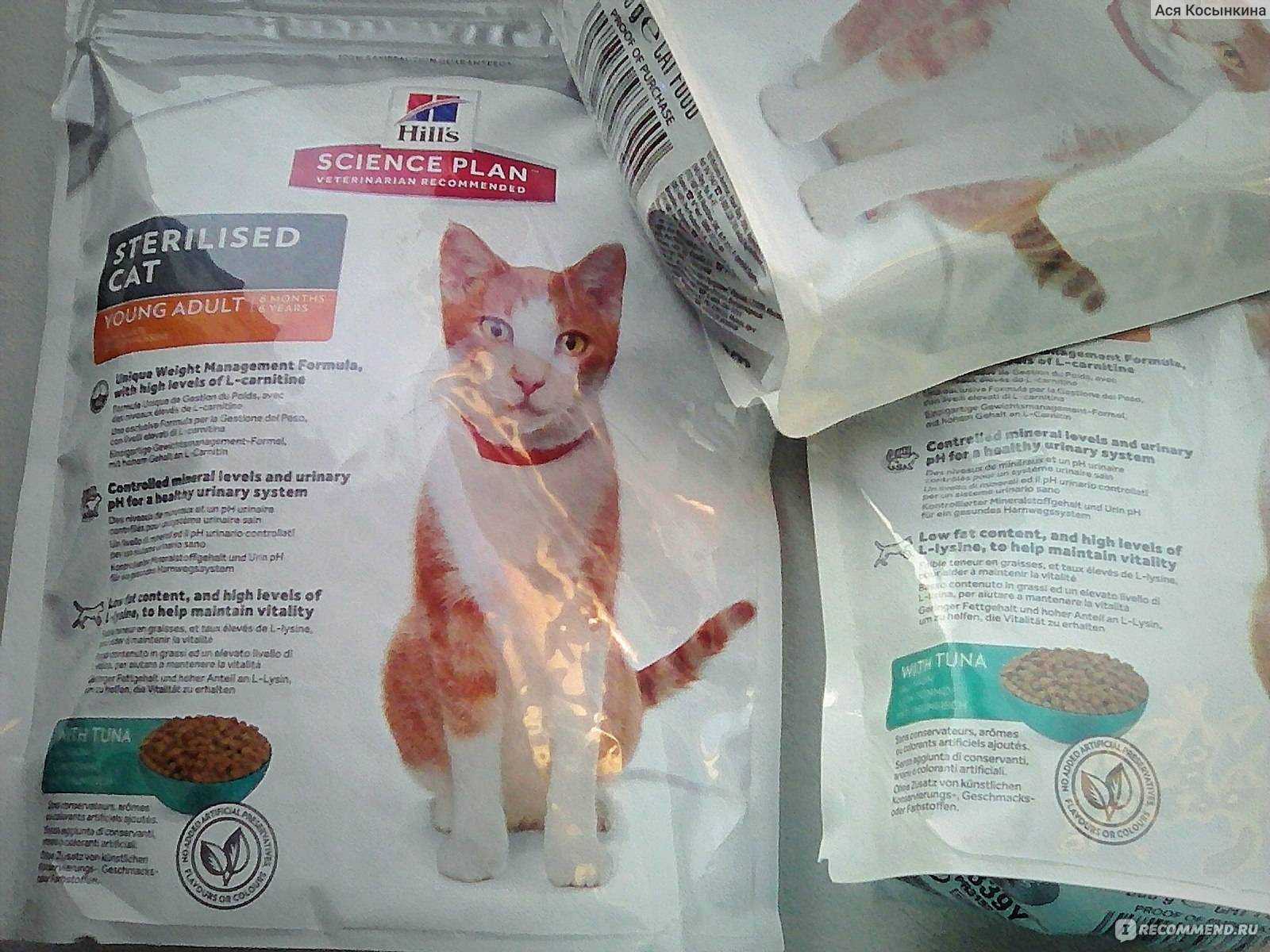 12 лучших кормов для стерилизованных кошек | maritera.ru