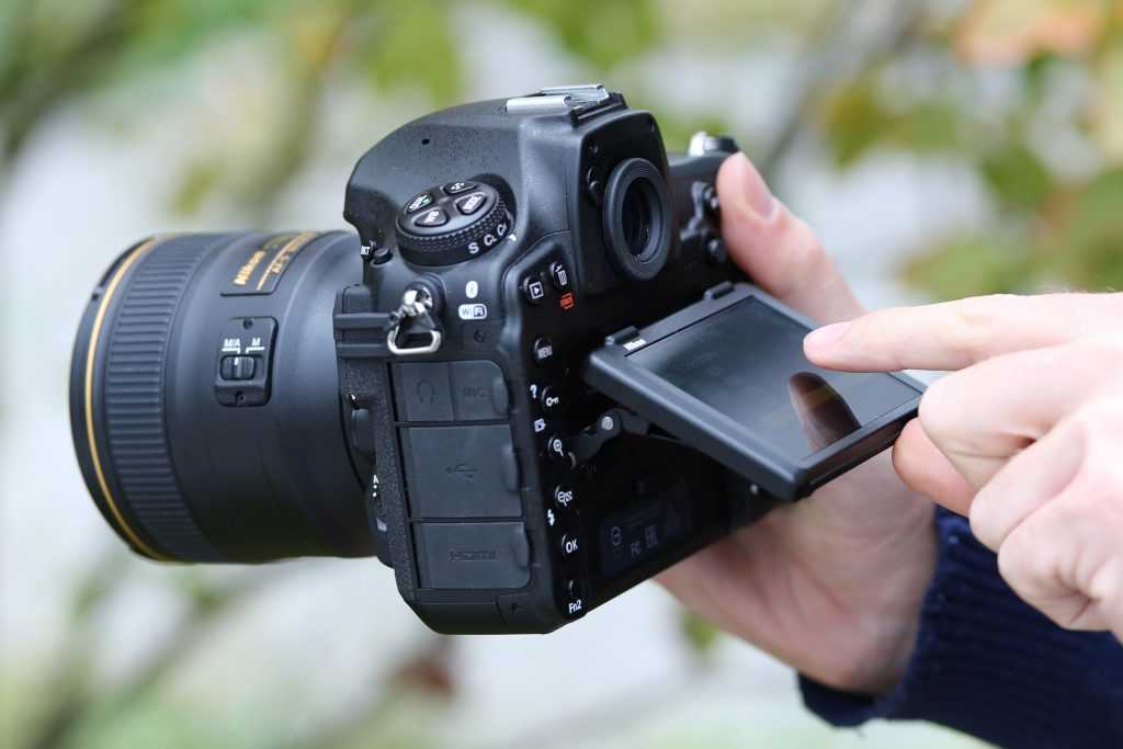 Рейтинг лучших профессиональных фотоаппаратов 2019—2020 года для тех, кто любит свое дело